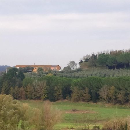 Agriturismo L'isola Crespina Esterno foto