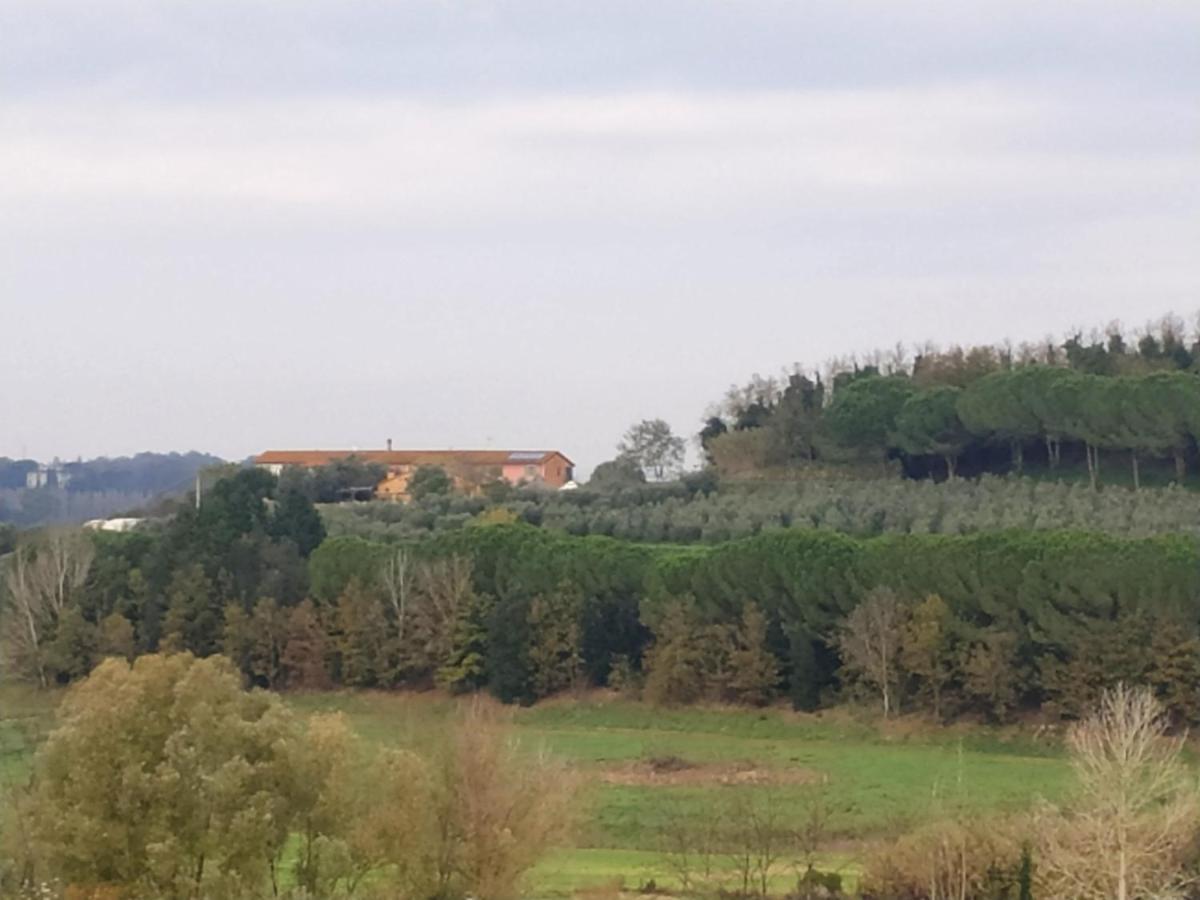 Agriturismo L'isola Crespina Esterno foto