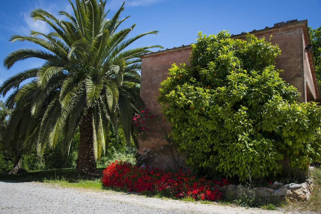 Agriturismo L'isola Crespina Camera foto