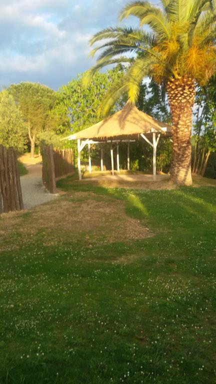 Agriturismo L'isola Crespina Esterno foto