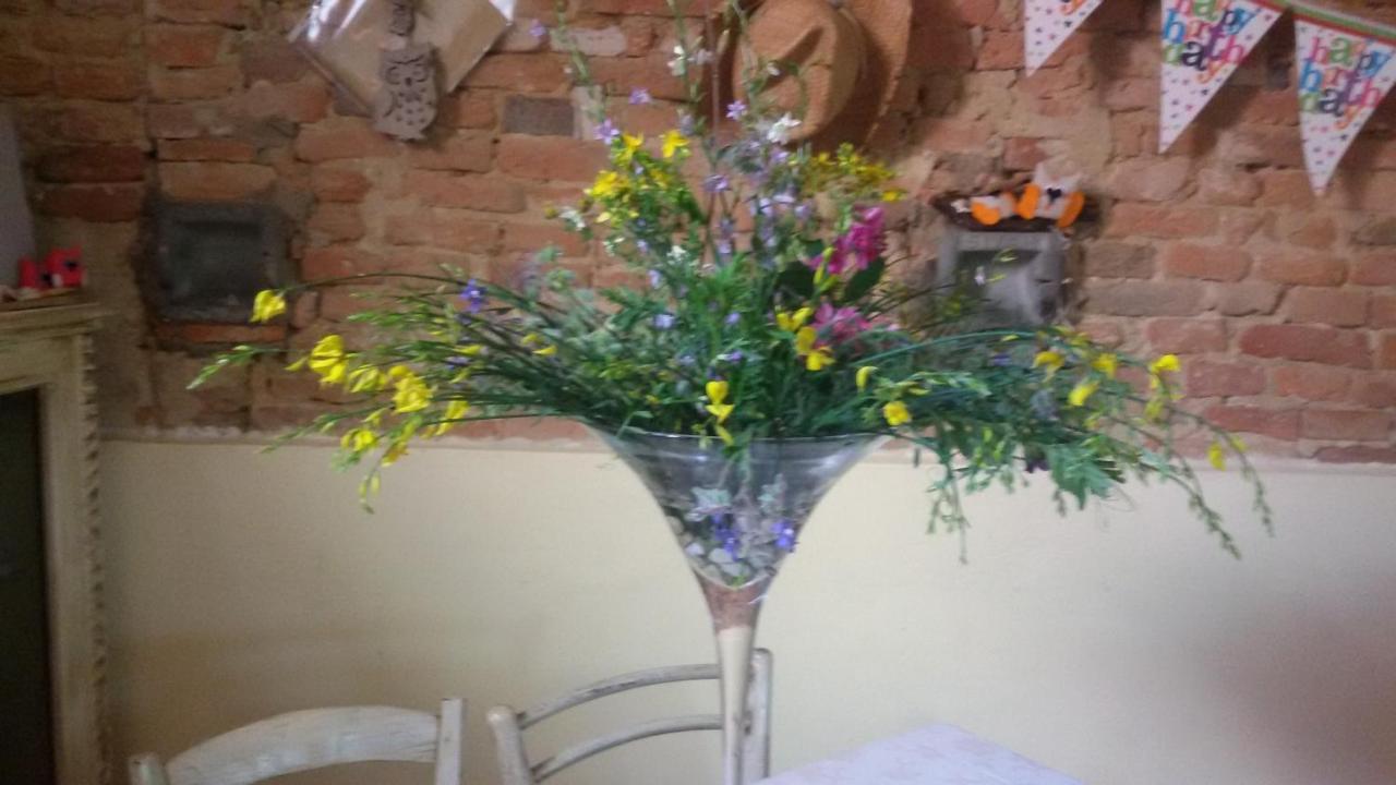 Agriturismo L'isola Crespina Esterno foto